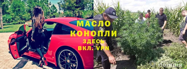 прущие грибы Баксан