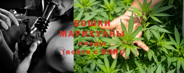 прущие грибы Баксан