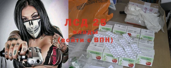 прущие грибы Баксан