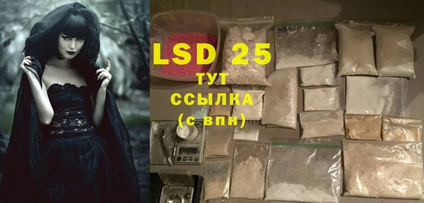 прущие грибы Баксан