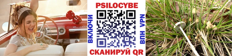 Псилоцибиновые грибы Cubensis  Кунгур 